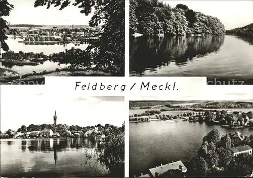 Feldberg Mecklenburg Blick vom Reiherberg Schmaler Luzin Haussee Amtswerder Kat. Feldberger Seenlandschaft