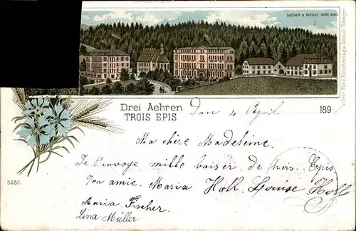 Drei-aehren Trois-Epis Pension Notre Dame / Ammerschwihr /Arrond. de Ribeauville