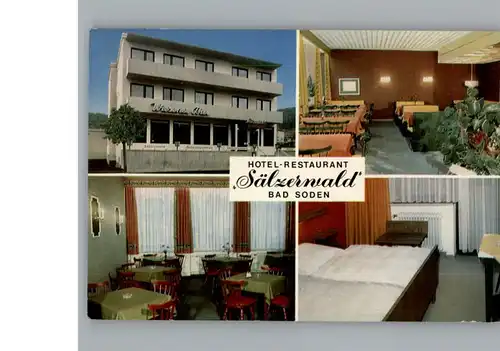 Bad Soden Taunus Hotel Saelzerwald / Bad Soden am Taunus /Main-Taunus-Kreis LKR