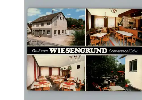 Schwarzach Odenwald Gasthaus - Pension Wiesengrund / Schwarzach /Neckar-Odenwald-Kreis LKR