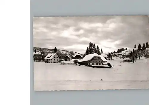 Altglashuetten  / Feldberg (Schwarzwald) /Breisgau-Hochschwarzwald LKR