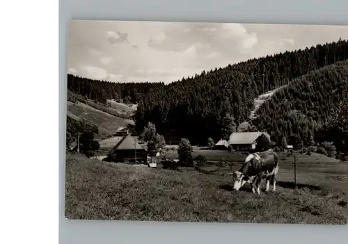 Bonndorf Schwarzwald  / Bonndorf /Waldshut LKR