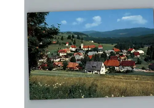 Altglashuetten  / Feldberg (Schwarzwald) /Breisgau-Hochschwarzwald LKR