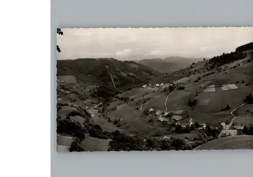 Wieden Schwarzwald  / Wieden /Loerrach LKR