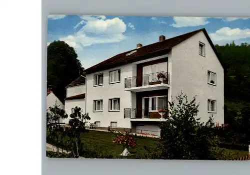 Toeging Oberpfalz Gaestehaus Neumeier  / Dietfurt a.d.Altmuehl /Neumarkt LKR