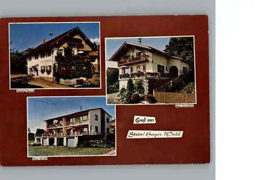 Stein Cham Gasthof-Pension Haus Gisela Haus Sonnblick Gasthof Braun / Tiefenbach /Cham LKR