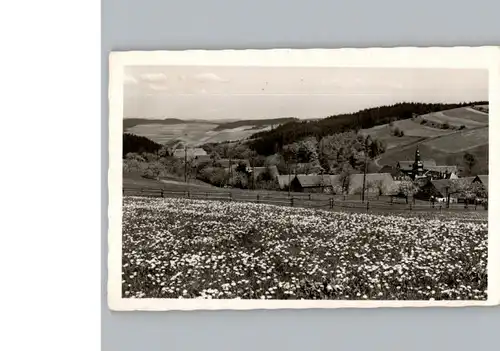 Lauenhain Gasthaus Dreiherrnstein / Ludwigsstadt /Kronach LKR