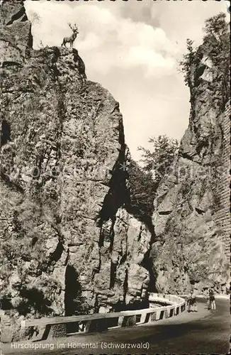 Hoellental Schwarzwald Hirschsprung Kat. Buchenbach