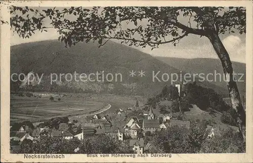 Neckarsteinach Blick vom Hoehenweg  Kat. Neckarsteinach