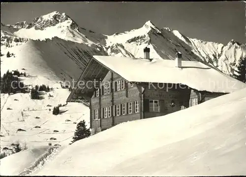 Achseten Adelboden Weid Winter Kat. Achseten