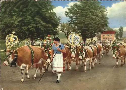 Tegernsee Almabtrieb Tracht Kat. Tegernsee