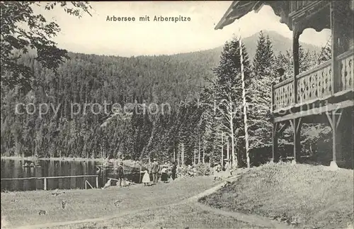 Bayerisch Eisenstein Arbersee mit Arberspitze Arberseehaus Kat. Bayerisch Eisenstein