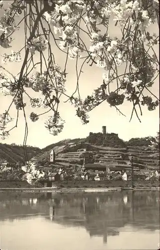 Beilstein Mosel Uferpartie an der Mosel Baumbluete Burg Kat. Beilstein