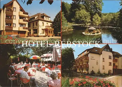 Ohlsbach Hotel Pension Rebstock Teich Kat. Ohlsbach