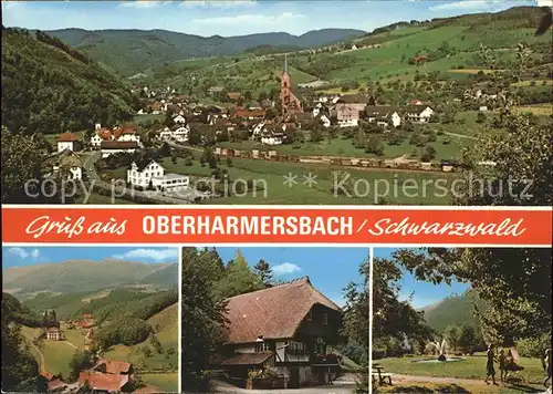 Oberharmersbach Gesamtansicht Bauernhaus Schwarzwaldhaus Kat. Oberharmersbach