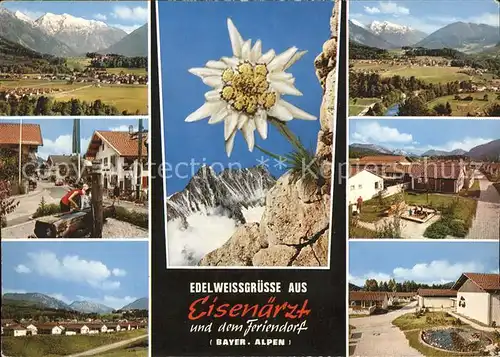 Eisenaerzt Gesamtansicht mit Alpenpanorama Feriendorf Brunnen Edelweiss Kat. Siegsdorf