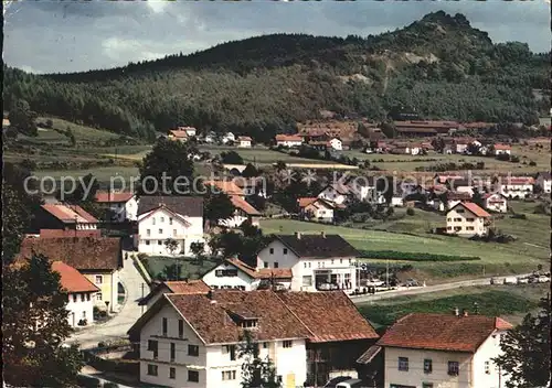 Bodenmais Teilansicht Luftkurort Silberberg Kat. Bodenmais