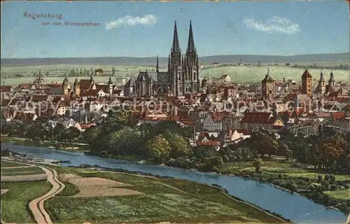 Regensburg Blick von den Winzererhoehen Dom Kat. Regensburg