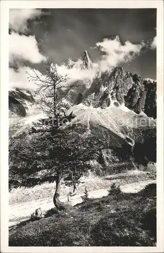 Chamonix Aiguille du Dru Kat. Chamonix Mont Blanc
