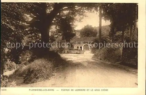 Plombieres les Bains Vosges Avenue de Lorraine et le Gros Chene Kat. Plombieres les Bains