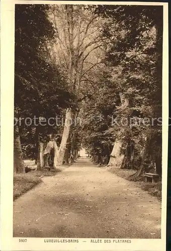 Luxeuil les Bains Allee des Platanes Kat. Luxeuil les Bains