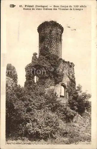 Piegut Pluviers Donjon du vieux Chateau des Vicomtes de Limoges XIIIe siecle Ruines Kat. Piegut Pluviers