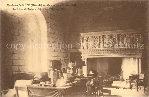 Meze Abbaye de Valmagne Salon Cheminee Monumentale Kat. Meze