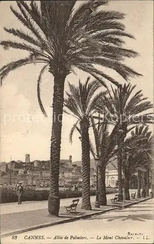 Cannes Alpes Maritimes Allee de Palmiers Mont Chevalier Kat. Cannes