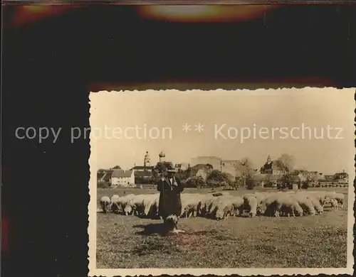 Giengen Brenz Schaefer mit Herde Kat. Giengen an der Brenz