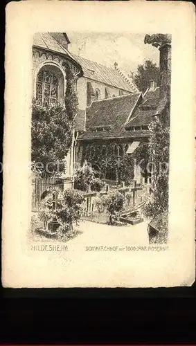 Hildesheim 1000jaehriger Rosenstock am Dom Kirchhof / Hildesheim /Hildesheim LKR