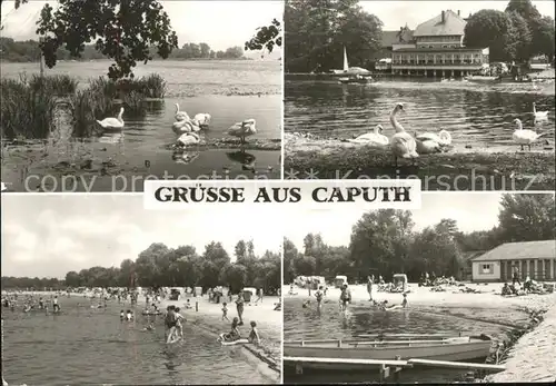 Caputh Strandbad Schwaene Kat. Schwielowsee