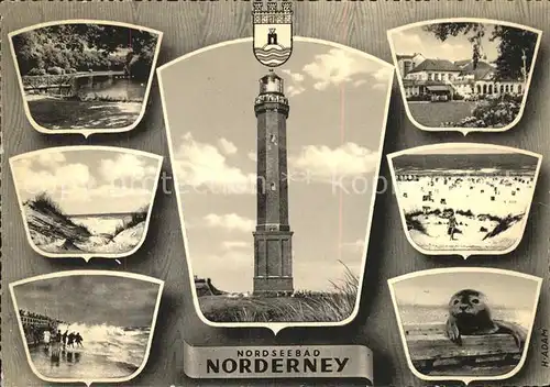 Norderney Nordseebad Leuchtturm Strand Duenen Sturm Seehund Kat. Norderney