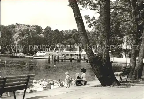 Bad Saarow Pieskow Schwanenwiese Fahrgastschiff Kat. Bad Saarow