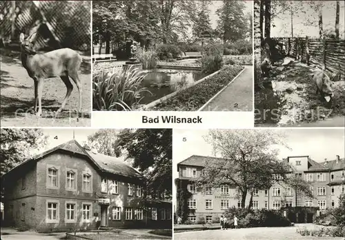 Bad Wilsnack Tierpark Parkanlagen Haus Birkengrund Goethehaus Kat. Bad Wilsnack