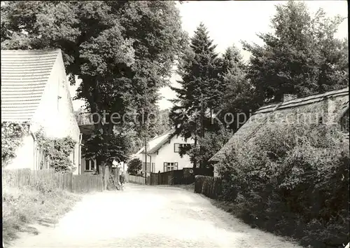 Ferch Dorfstrasse Kat. Schwielowsee