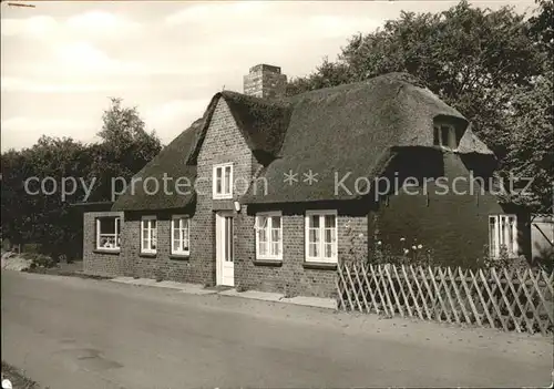 Nebel Amrum Das Finkenhaus Kat. Nebel