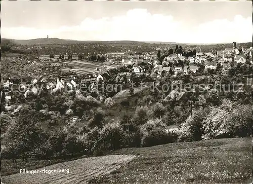 Hegensberg Panorama Kat. Esslingen am Neckar