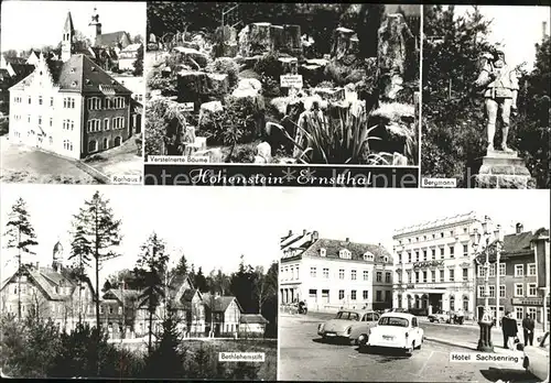 Hohenstein Ernstthal Rathaus Versteinerte Baeume Bergmann Bethlehemstift Hotel Sachsenring Kat. Hohenstein Ernstthal