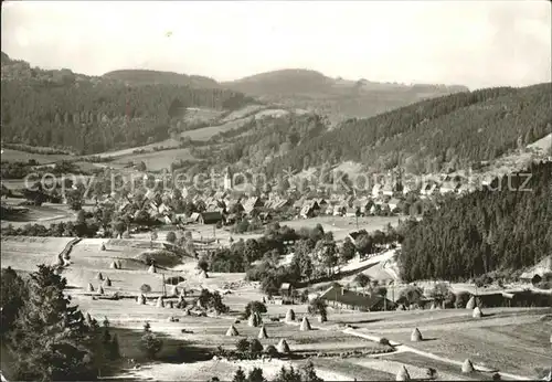 Geising Erzgebirge Totalansicht / Geising Osterzgebirge /Saechsische Schweiz-Osterzgebirge LKR