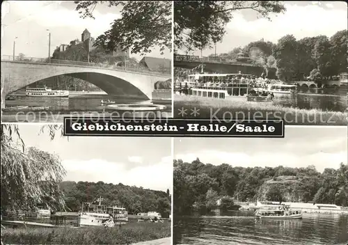 Halle Saale Giebichenstein Bruecke Saalepartien Kat. Halle