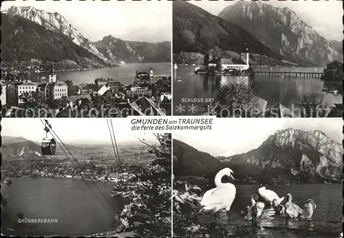 Gmunden Salzkammergut Traunsee Schloss Ort Gruenbergbahn Schwaene Kat. Gmunden