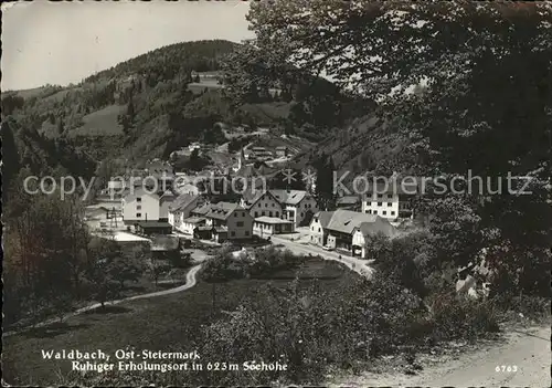 Waldbach Steiermark Ortsblick Kat. Waldbach