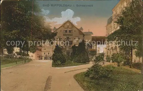 Bad Rippoldsau Schwarzwald Ortspartie Kat. Bad Rippoldsau Schapbach