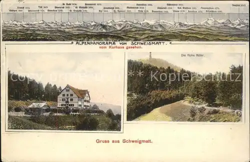 Schweigmatt Alpenpanorama Blick vom Kurhaus Hohe Moehr Kat. Schopfheim