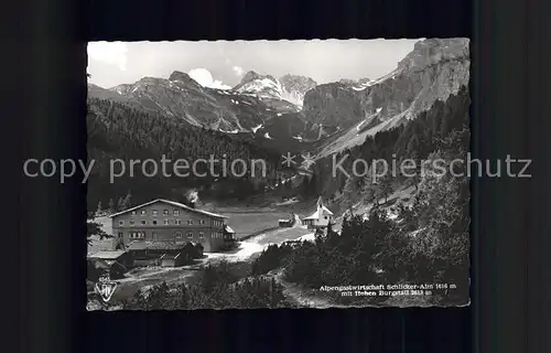 Schlickeralm Alpengastwirtschaft mit Hohen Burgstall Kat. Neustift im Stubaital