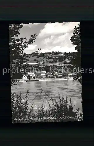 Marbach Donau Donauufer Blick zum Wallfahrtsort Maria Taferl Kat. Marbach an der Donau