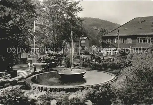 Kipsdorf Springbrunnen Ortspartie Kurort Kat. Altenberg