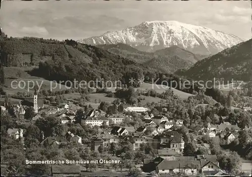 Scheibbs Gesamtansicht mit oetscher Ybbstaler Alpen Sommerfrische Kat. Scheibbs