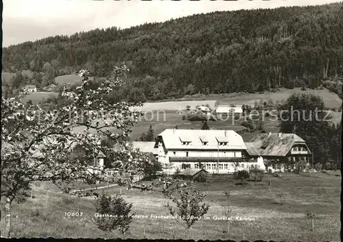 Gurk Gasthof Pension Fischerhof im Gurktal Baumbluete Kat. Gurk