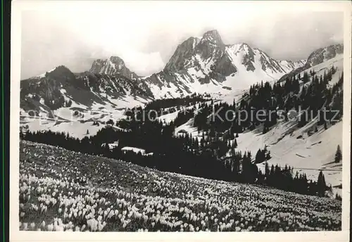 Gantrisch Gantrischgebiet Panorama Kat. Gantrisch